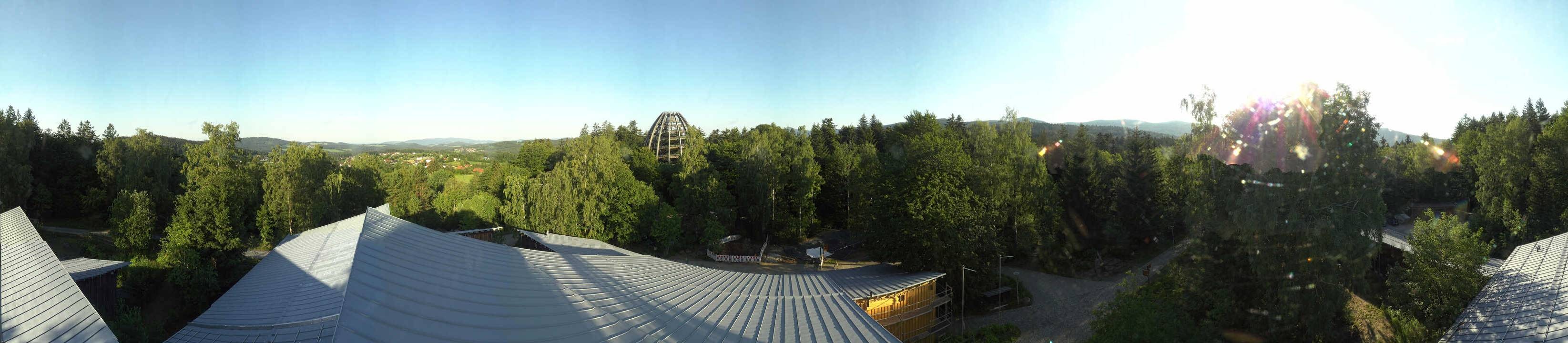 Archiv Foto Webcam Neuschönau - Baumwipfelpfad Bayerischer Wald