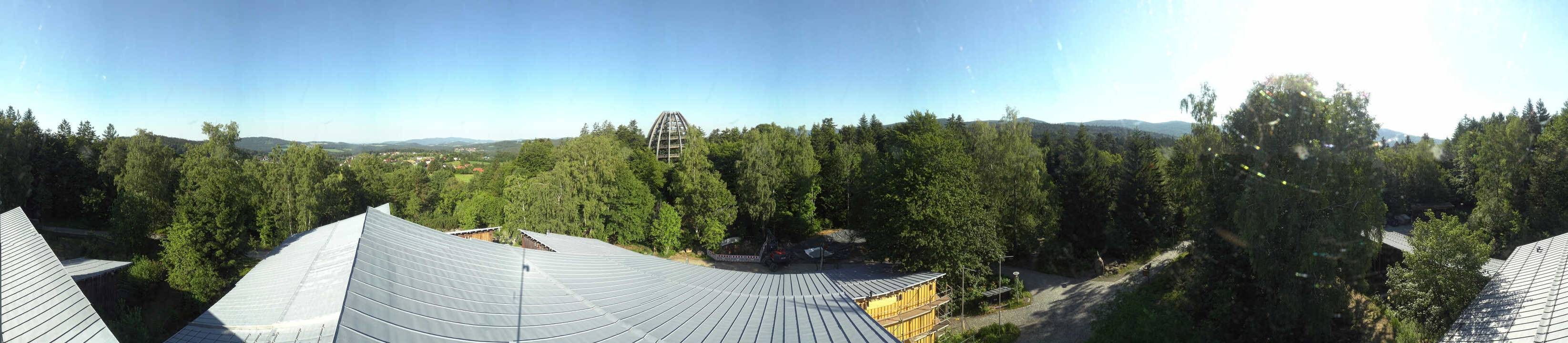 Archiv Foto Webcam Neuschönau - Baumwipfelpfad Bayerischer Wald