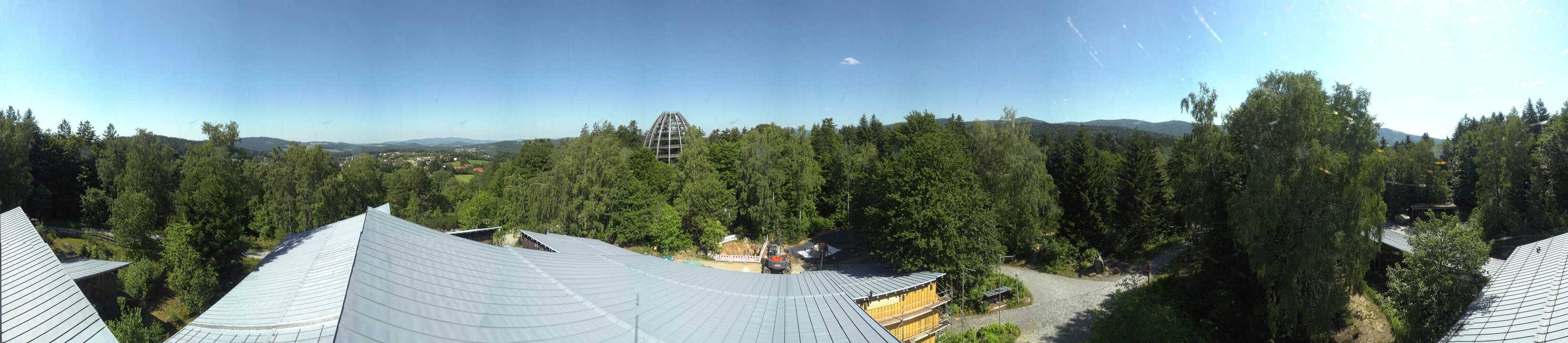 Archiv Foto Webcam Neuschönau - Baumwipfelpfad Bayerischer Wald
