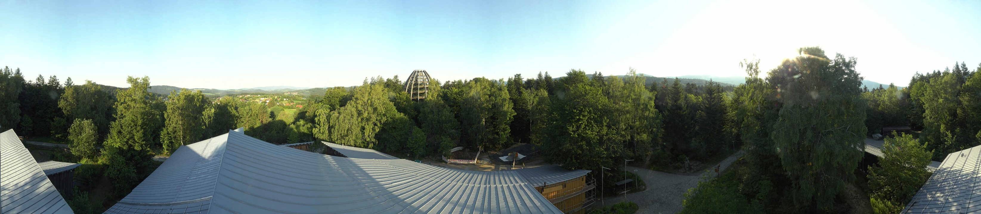 Archived image Webcam Neuschönau - Tree Top Walk Bavarian Forest