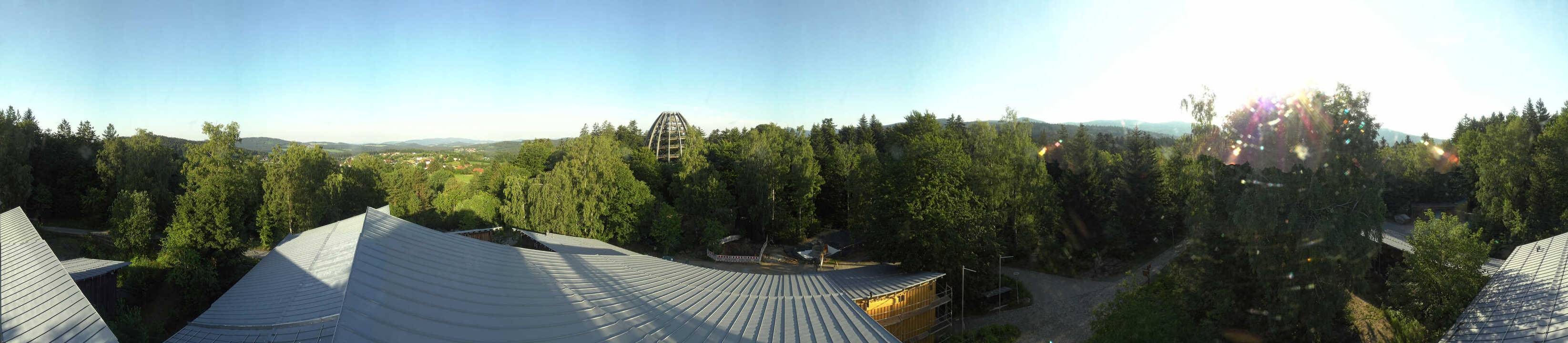 Archived image Webcam Neuschönau - Tree Top Walk Bavarian Forest