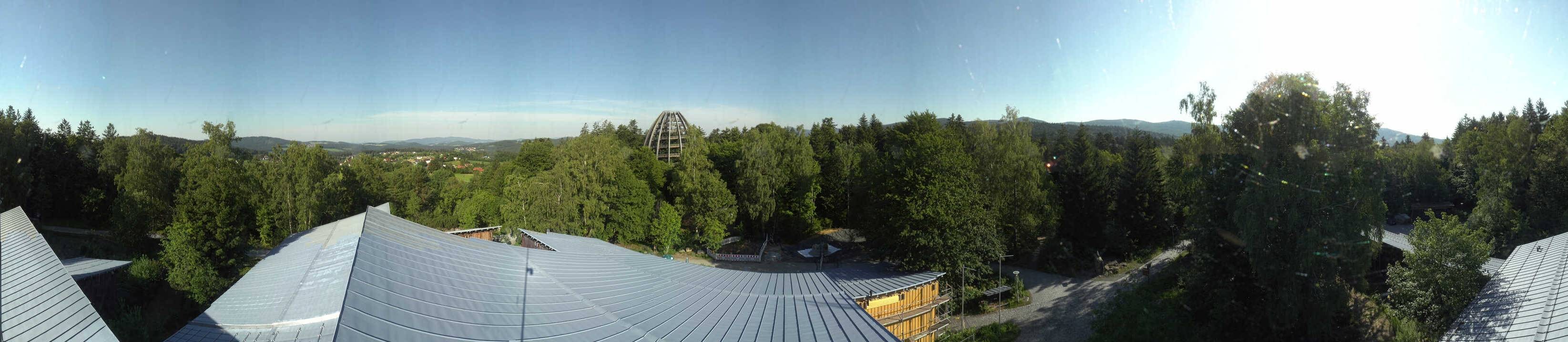 Archived image Webcam Neuschönau - Tree Top Walk Bavarian Forest