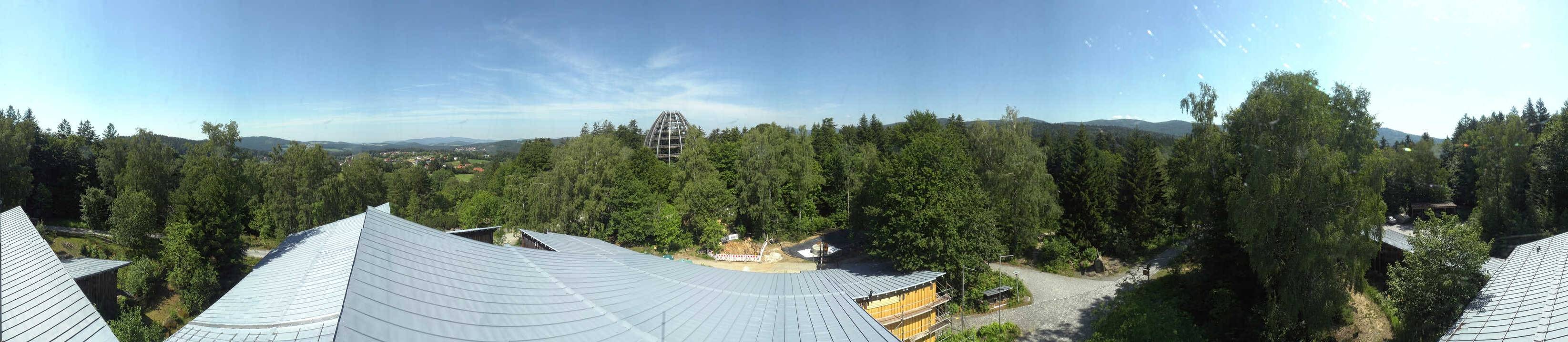Archived image Webcam Neuschönau - Tree Top Walk Bavarian Forest