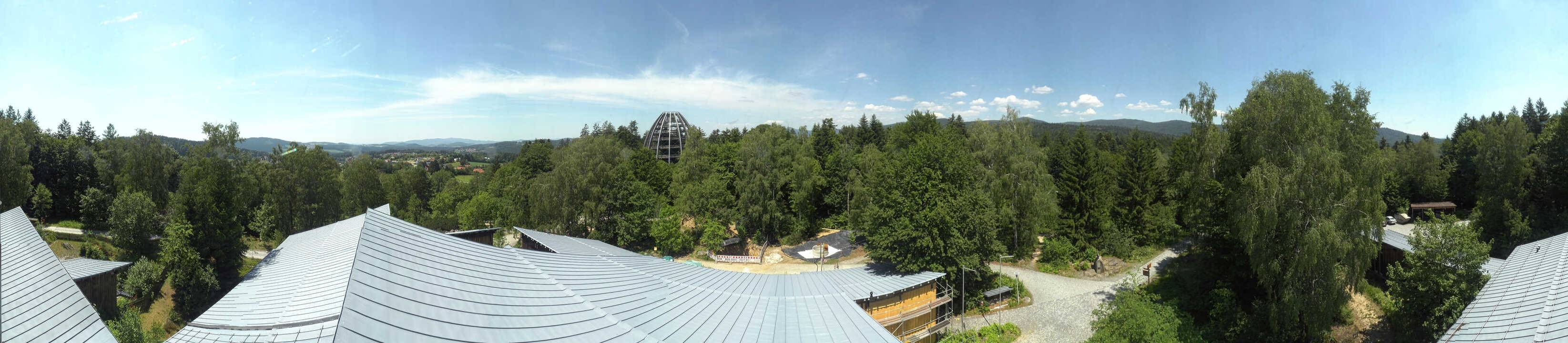 Archived image Webcam Neuschönau - Tree Top Walk Bavarian Forest