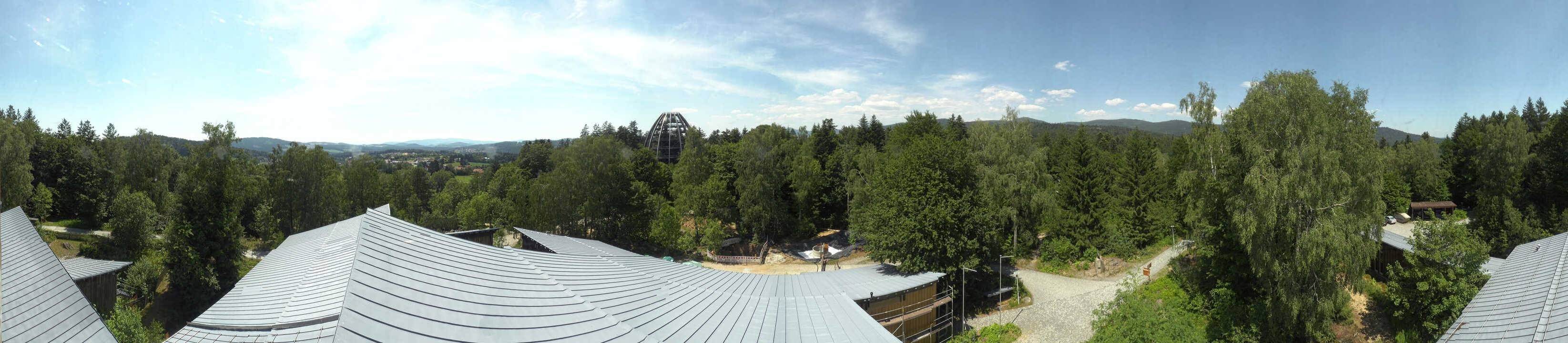 Archived image Webcam Neuschönau - Tree Top Walk Bavarian Forest