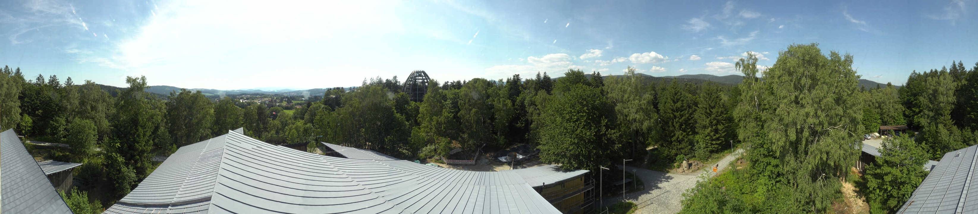 Archived image Webcam Neuschönau - Tree Top Walk Bavarian Forest