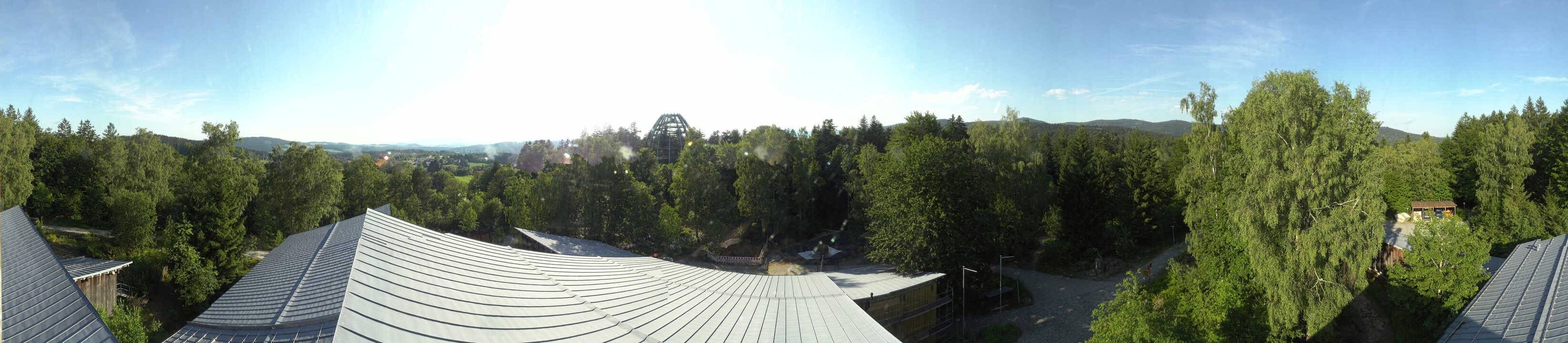 Archived image Webcam Neuschönau - Tree Top Walk Bavarian Forest