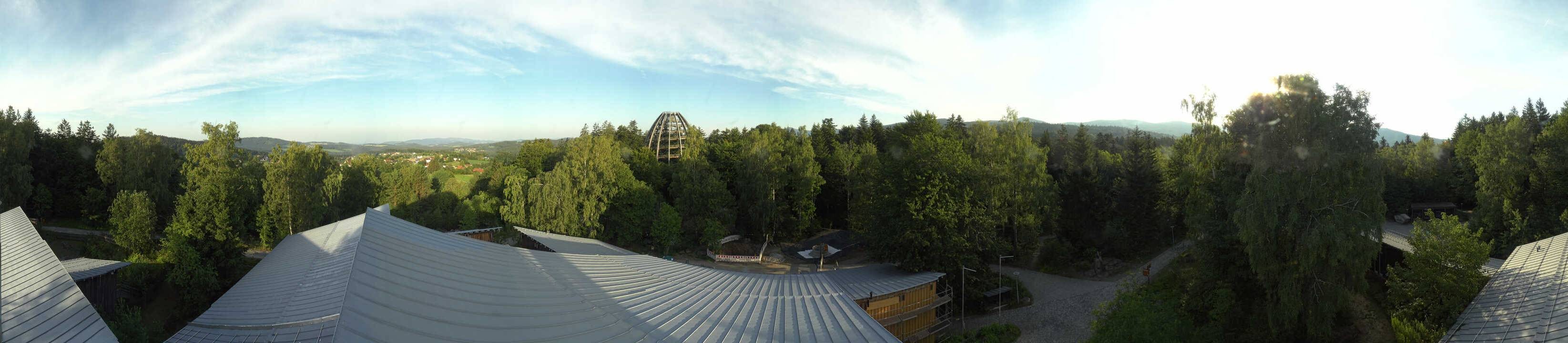 Archived image Webcam Neuschönau - Tree Top Walk Bavarian Forest