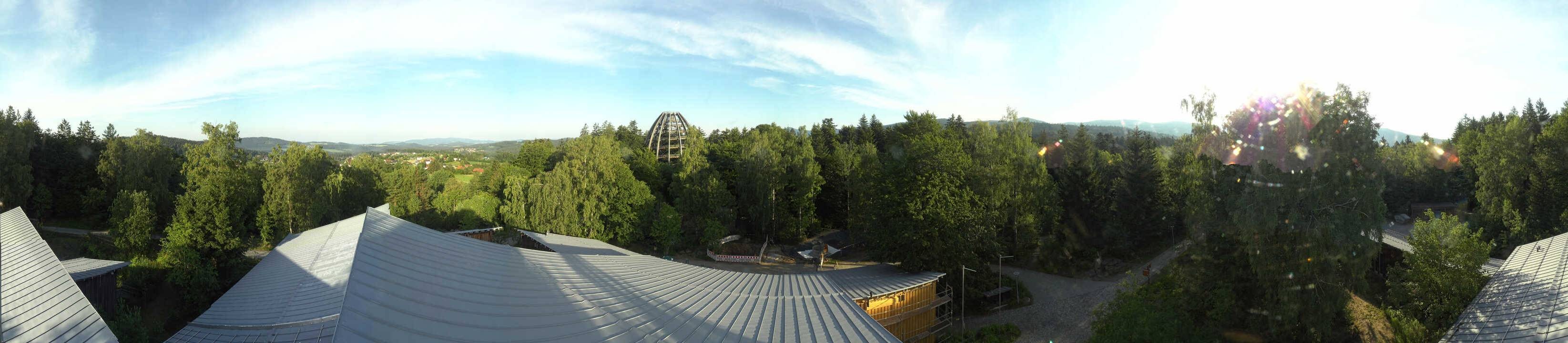 Archived image Webcam Neuschönau - Tree Top Walk Bavarian Forest