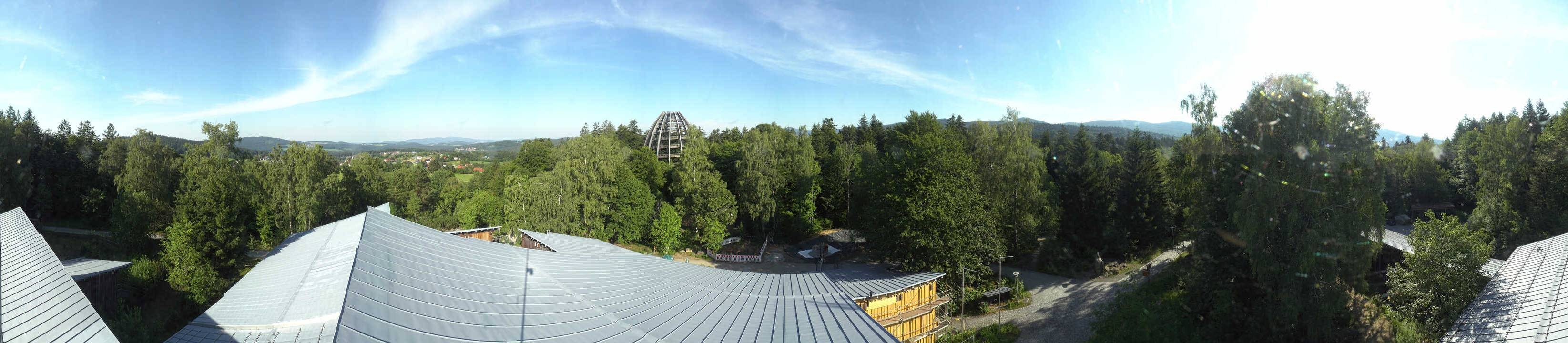Archived image Webcam Neuschönau - Tree Top Walk Bavarian Forest