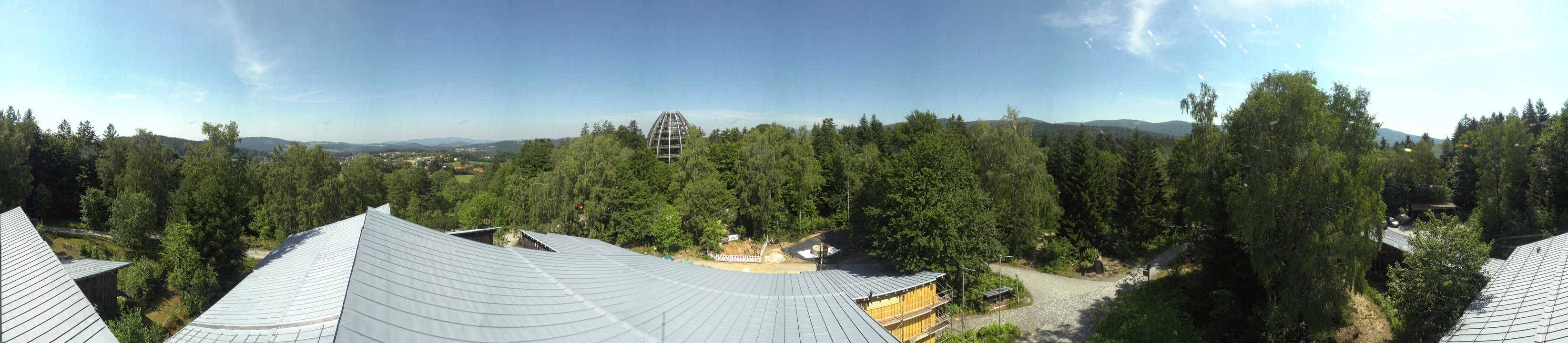 Archived image Webcam Neuschönau - Tree Top Walk Bavarian Forest