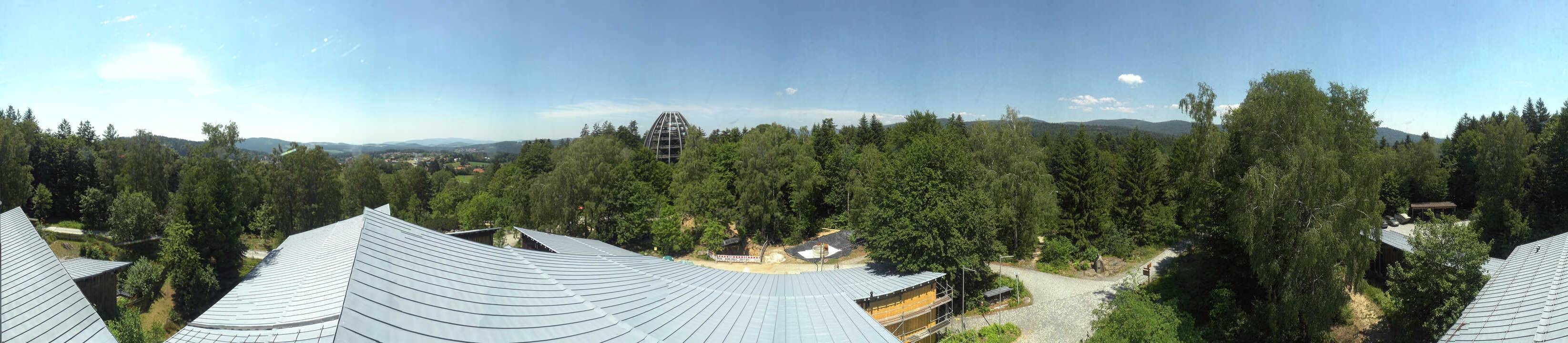 Archiv Foto Webcam Neuschönau - Baumwipfelpfad Bayerischer Wald