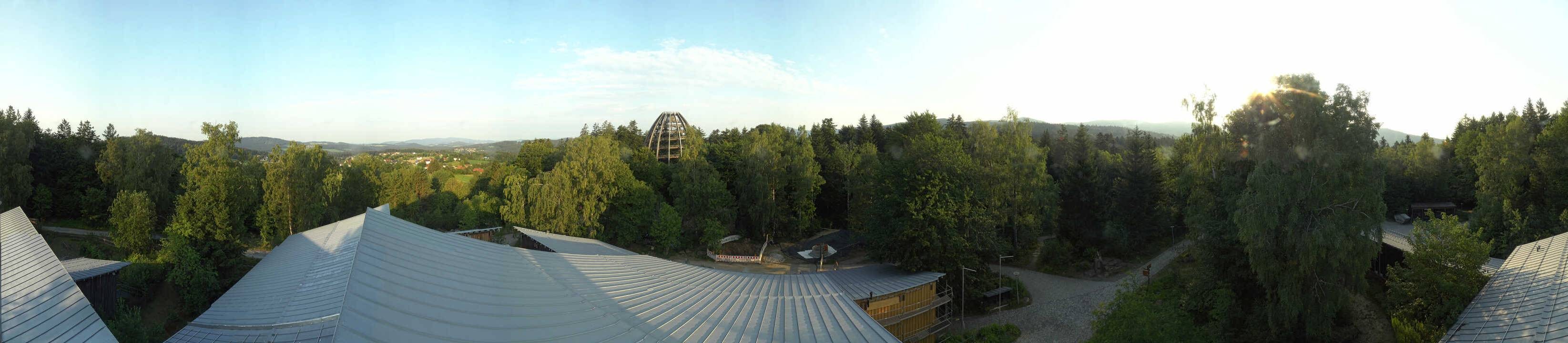Archiv Foto Webcam Neuschönau - Baumwipfelpfad Bayerischer Wald