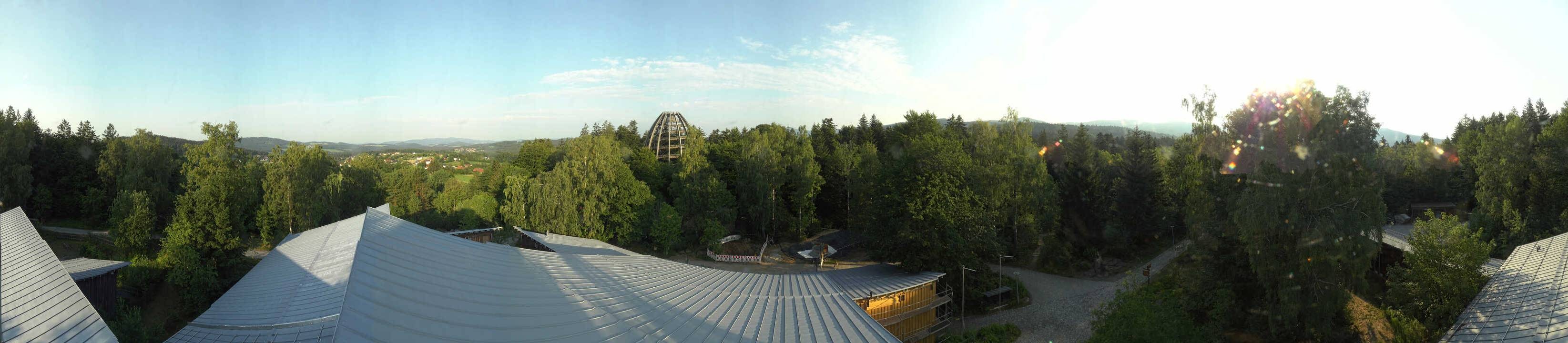 Archiv Foto Webcam Neuschönau - Baumwipfelpfad Bayerischer Wald