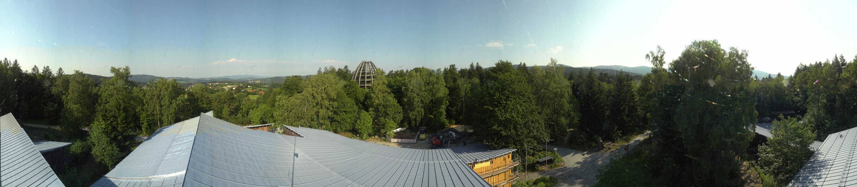 Archiv Foto Webcam Neuschönau - Baumwipfelpfad Bayerischer Wald
