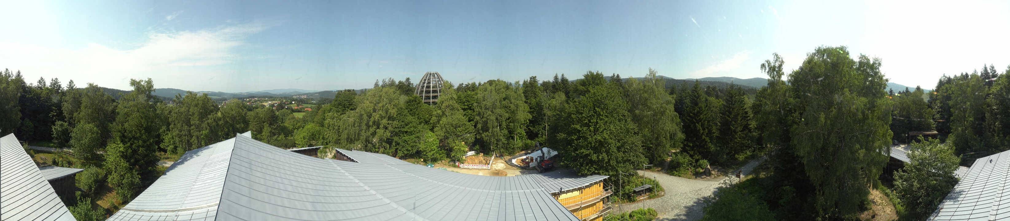 Archiv Foto Webcam Neuschönau - Baumwipfelpfad Bayerischer Wald