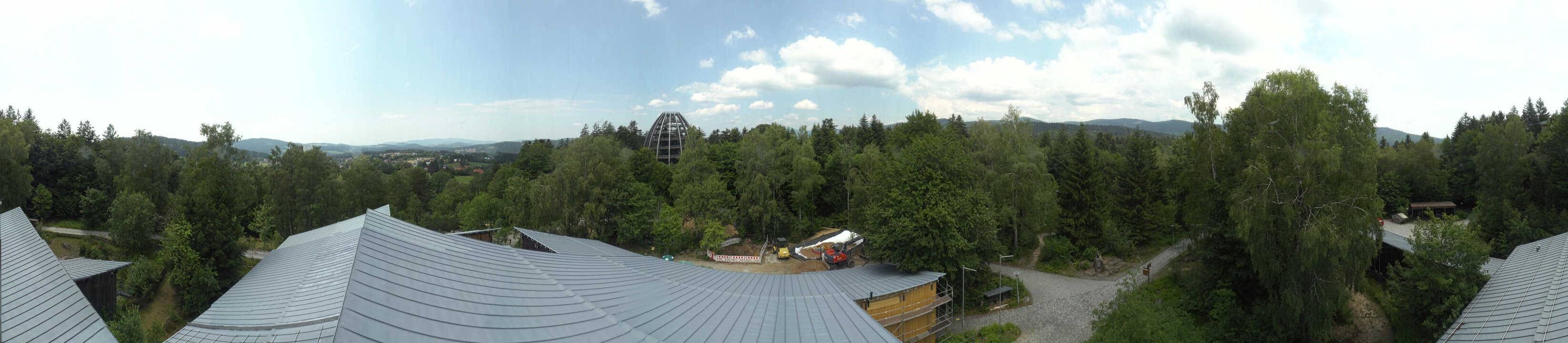 Archiv Foto Webcam Neuschönau - Baumwipfelpfad Bayerischer Wald