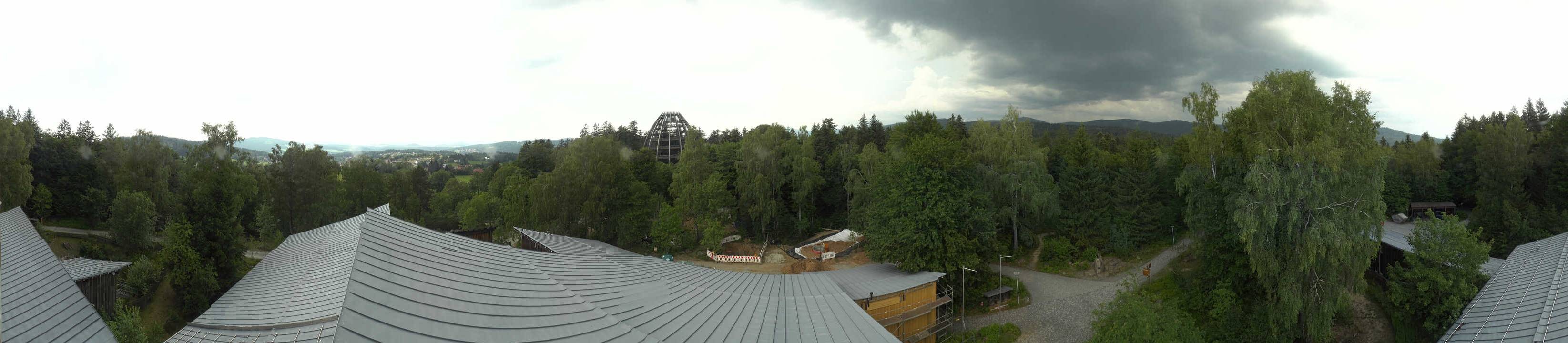 Archiv Foto Webcam Neuschönau - Baumwipfelpfad Bayerischer Wald