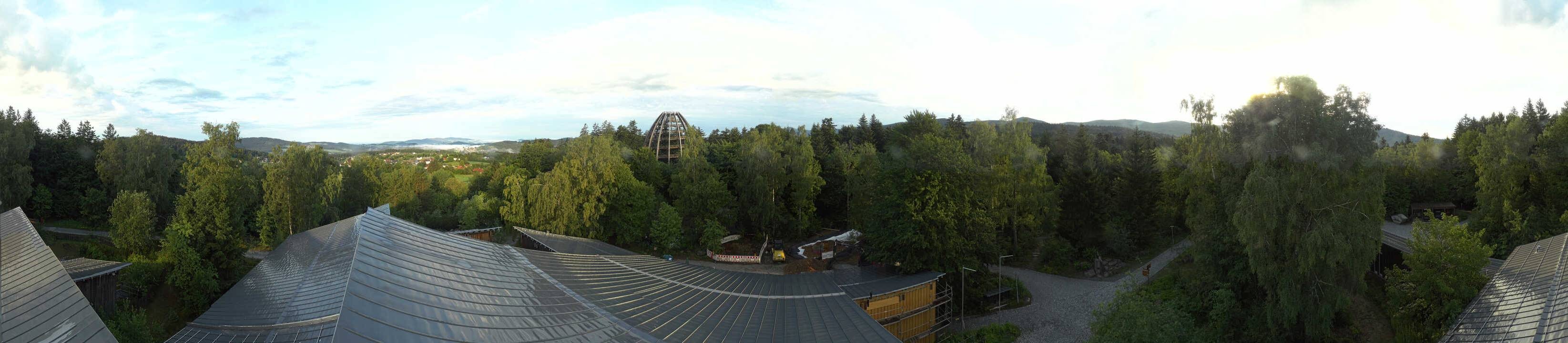 Archiv Foto Webcam Neuschönau - Baumwipfelpfad Bayerischer Wald