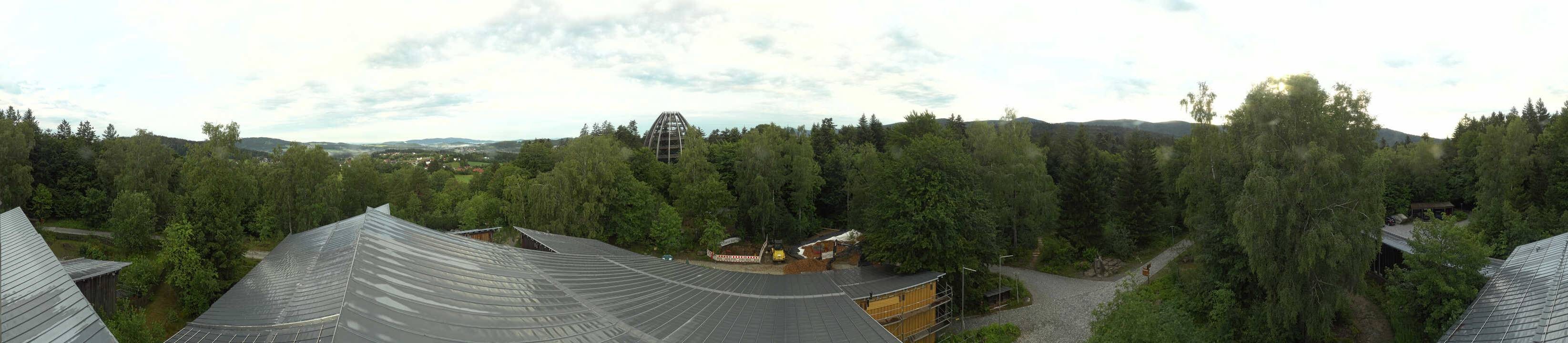 Archiv Foto Webcam Neuschönau - Baumwipfelpfad Bayerischer Wald
