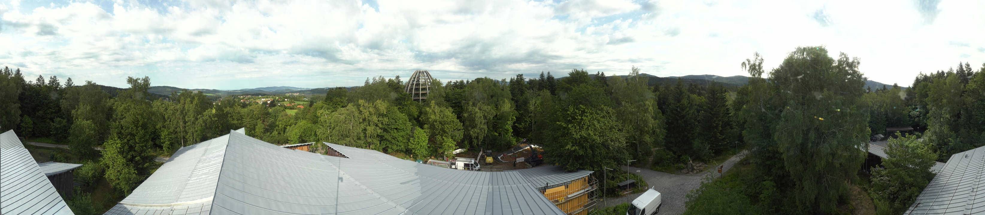 Archiv Foto Webcam Neuschönau - Baumwipfelpfad Bayerischer Wald