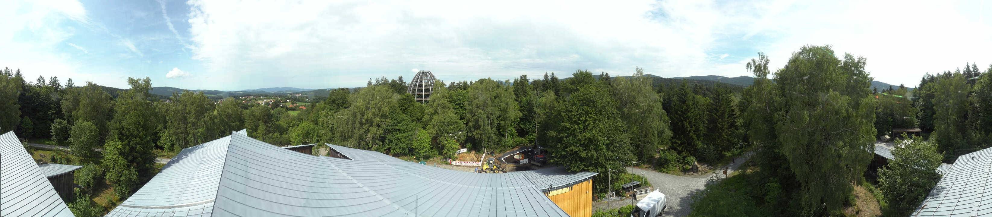 Archiv Foto Webcam Neuschönau - Baumwipfelpfad Bayerischer Wald