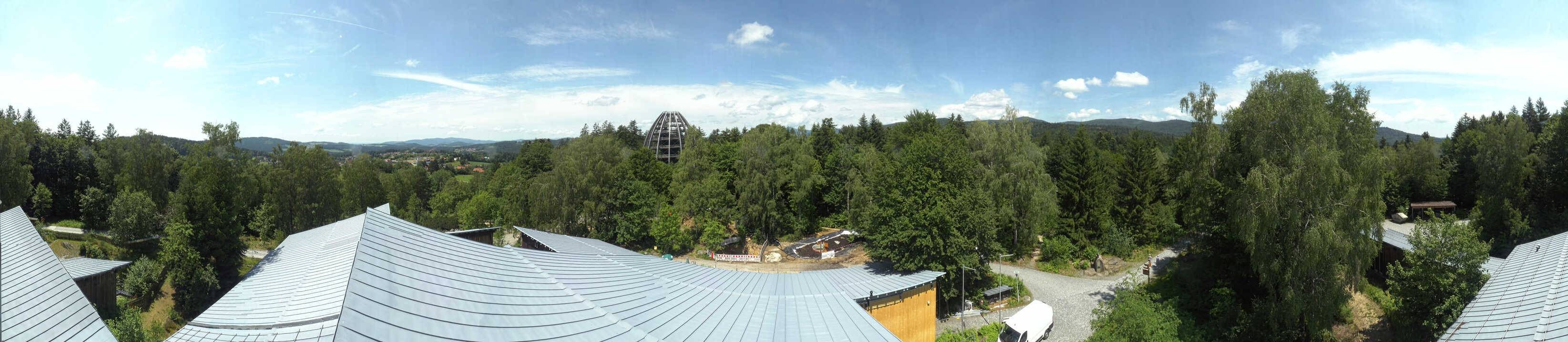Archiv Foto Webcam Neuschönau - Baumwipfelpfad Bayerischer Wald