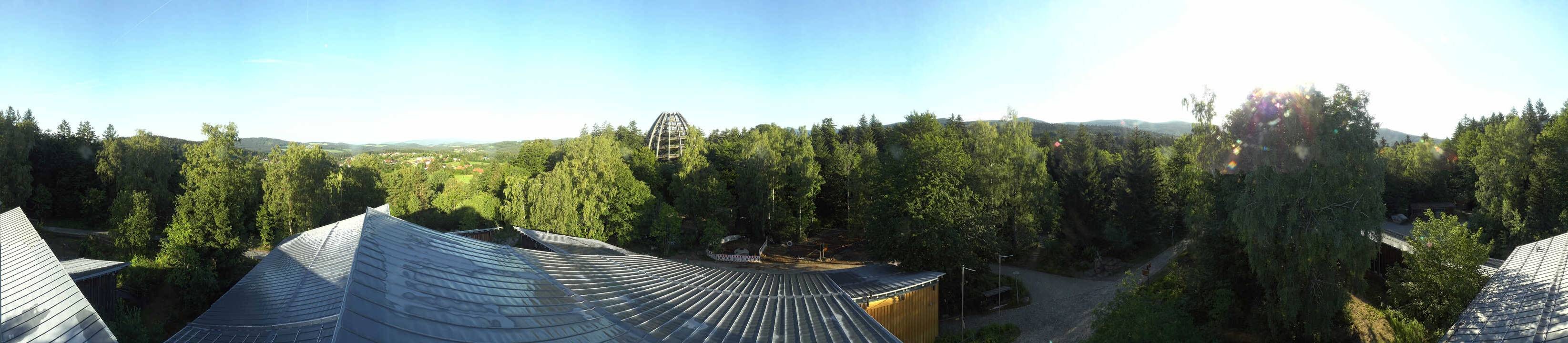 Archiv Foto Webcam Neuschönau - Baumwipfelpfad Bayerischer Wald