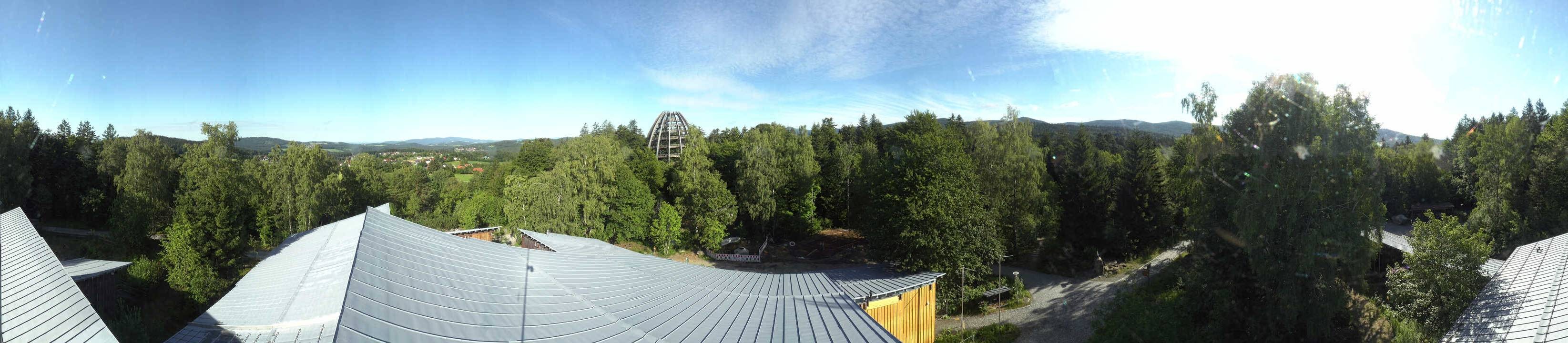 Archiv Foto Webcam Neuschönau - Baumwipfelpfad Bayerischer Wald