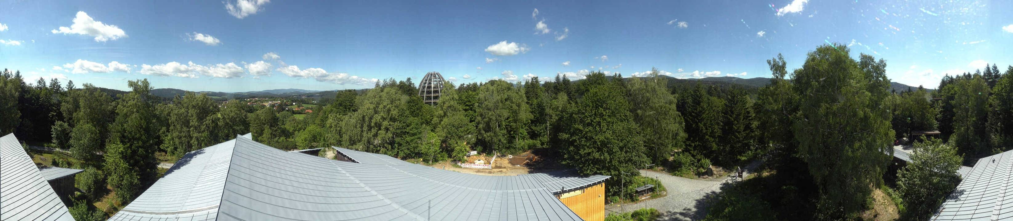 Archiv Foto Webcam Neuschönau - Baumwipfelpfad Bayerischer Wald