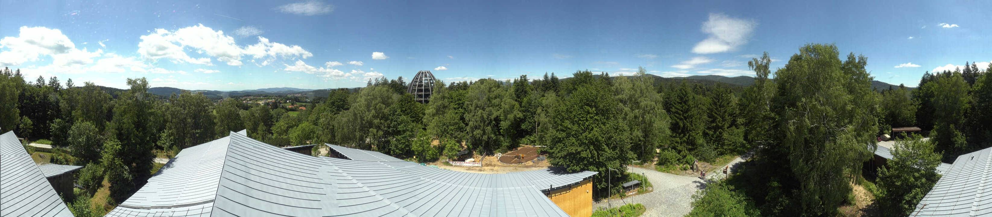 Archiv Foto Webcam Neuschönau - Baumwipfelpfad Bayerischer Wald