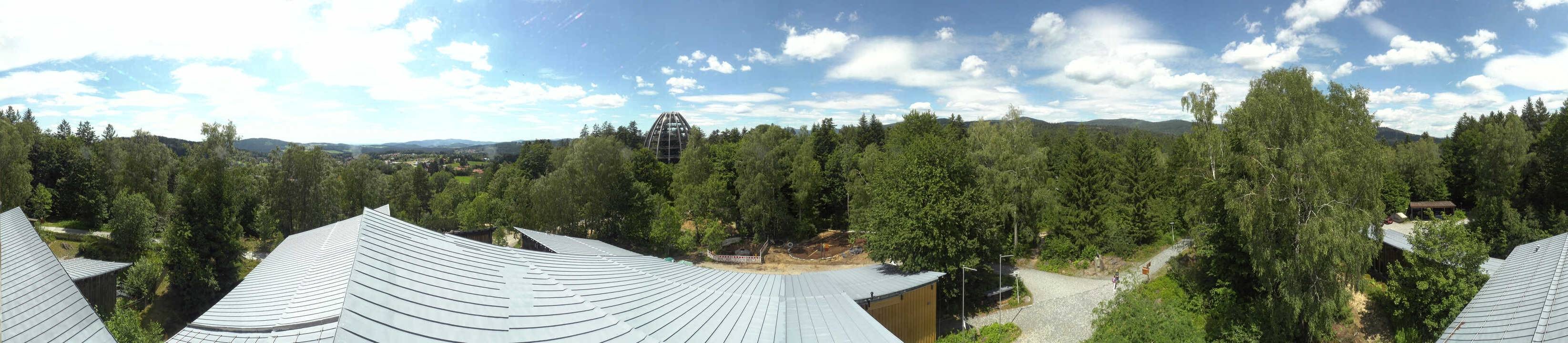 Archiv Foto Webcam Neuschönau - Baumwipfelpfad Bayerischer Wald