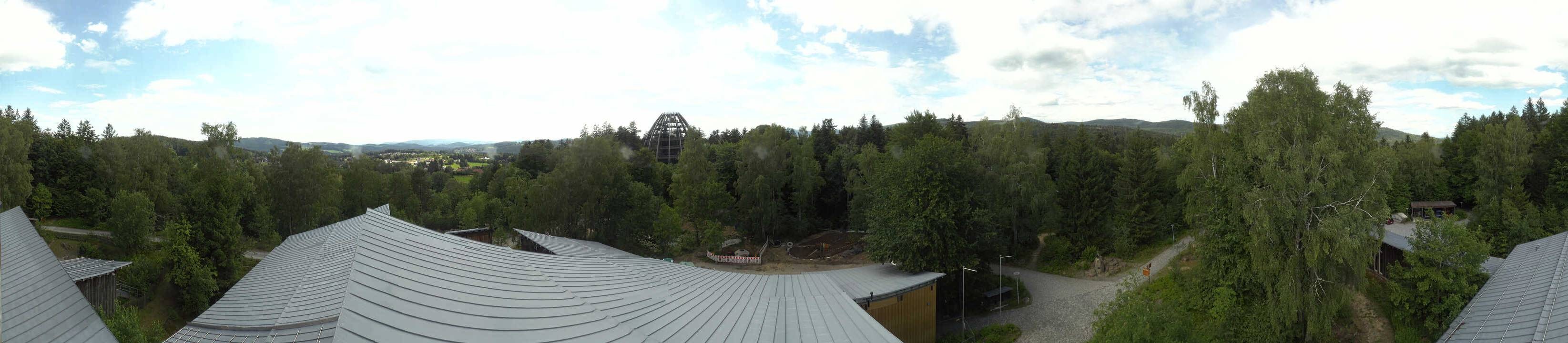Archiv Foto Webcam Neuschönau - Baumwipfelpfad Bayerischer Wald