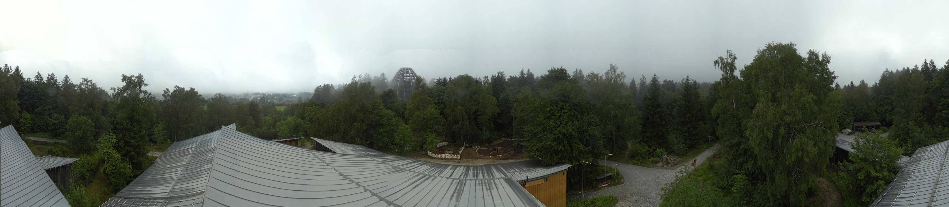 Archived image Webcam Neuschönau - Tree Top Walk Bavarian Forest