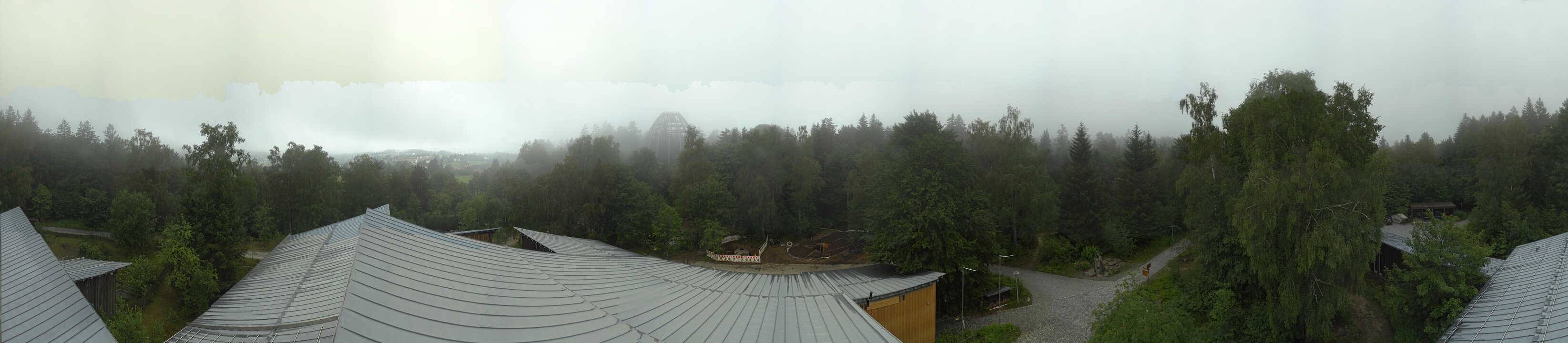 Archived image Webcam Neuschönau - Tree Top Walk Bavarian Forest