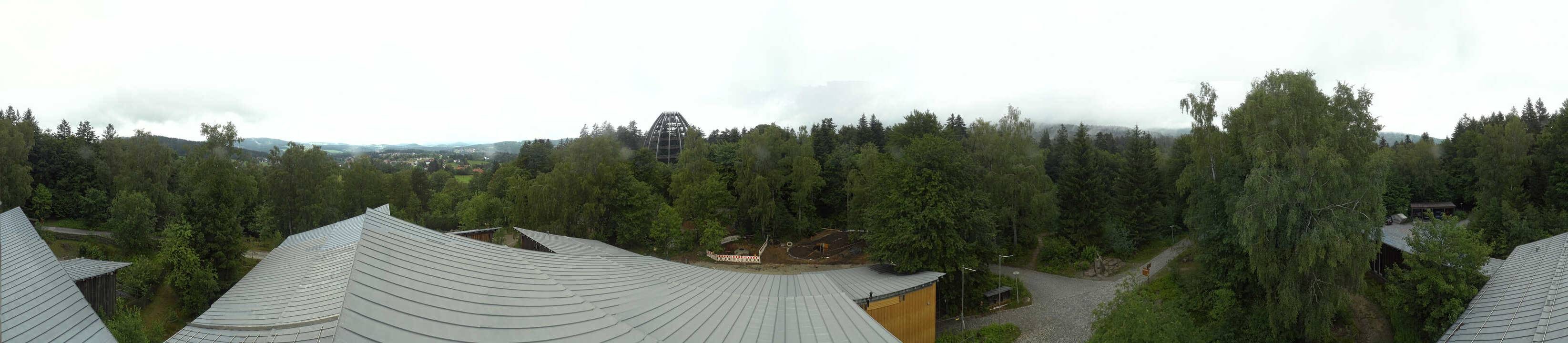 Archived image Webcam Neuschönau - Tree Top Walk Bavarian Forest