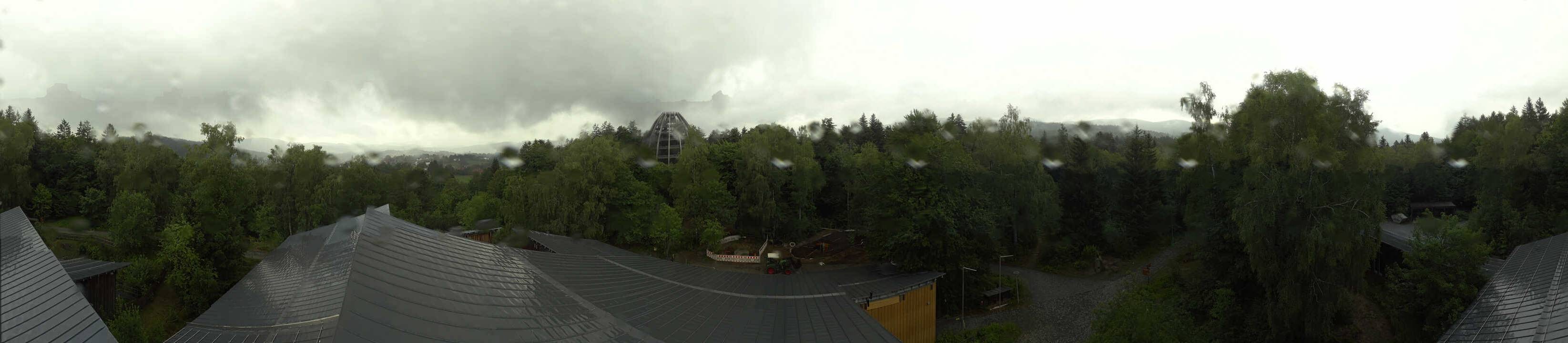 Archived image Webcam Neuschönau - Tree Top Walk Bavarian Forest