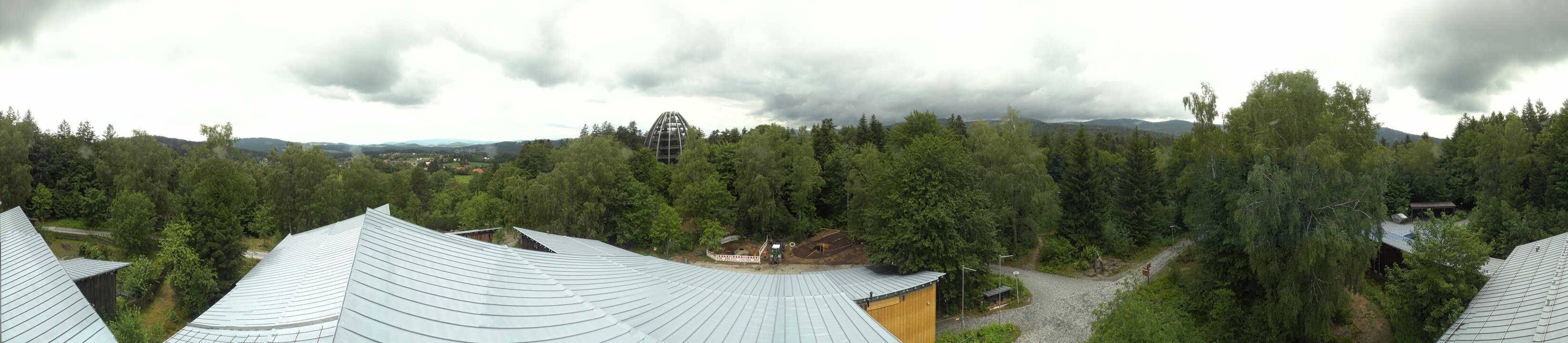 Archived image Webcam Neuschönau - Tree Top Walk Bavarian Forest