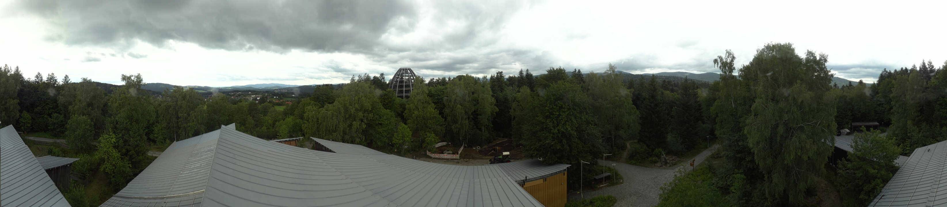 Archived image Webcam Neuschönau - Tree Top Walk Bavarian Forest