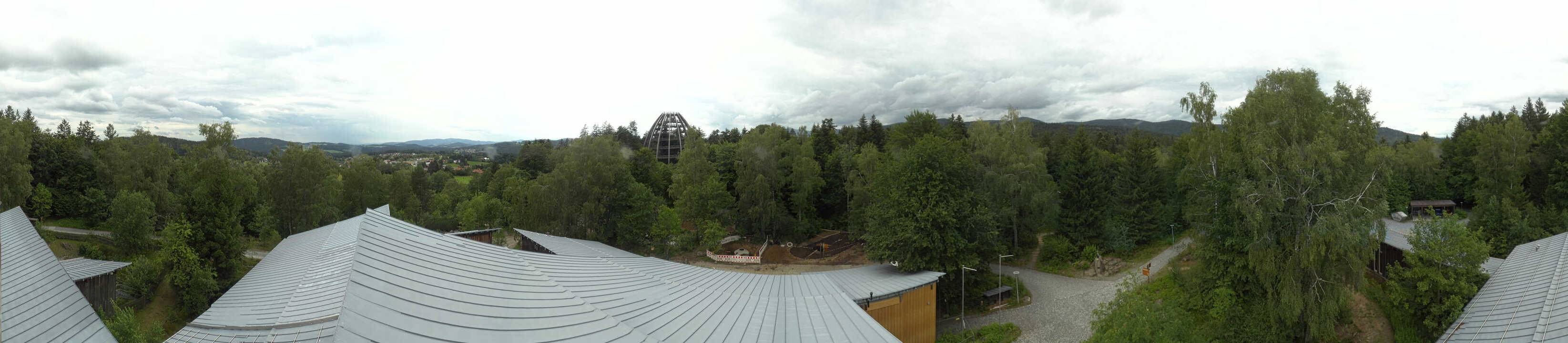 Archived image Webcam Neuschönau - Tree Top Walk Bavarian Forest