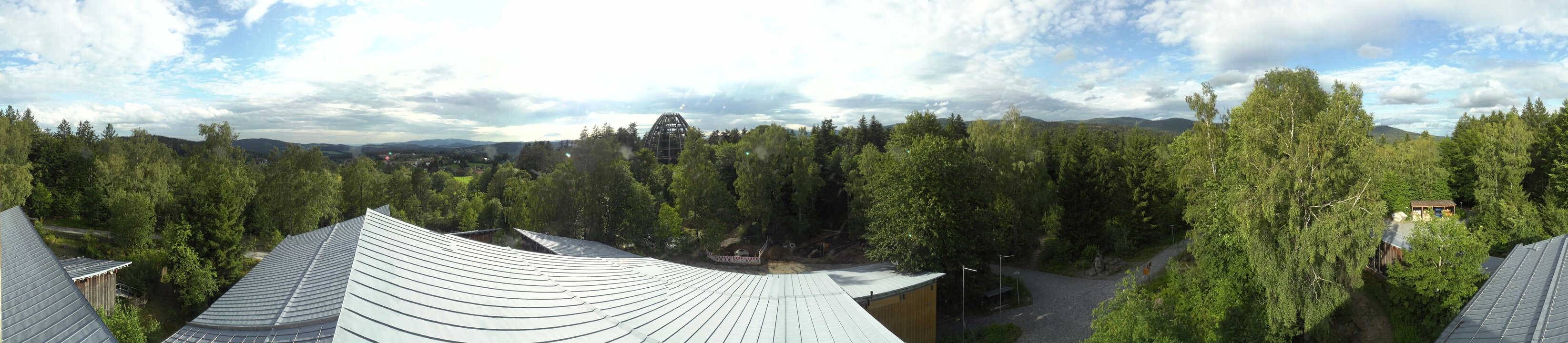 Archived image Webcam Neuschönau - Tree Top Walk Bavarian Forest