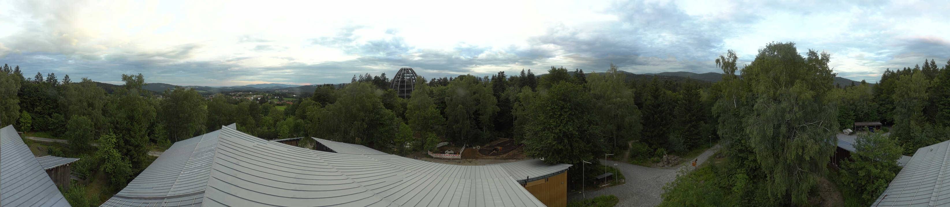 Archiv Foto Webcam Neuschönau - Baumwipfelpfad Bayerischer Wald