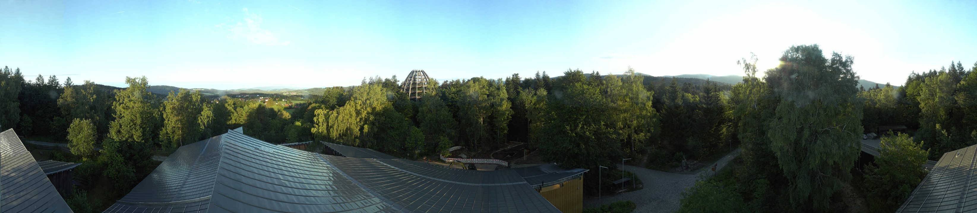 Archiv Foto Webcam Neuschönau - Baumwipfelpfad Bayerischer Wald