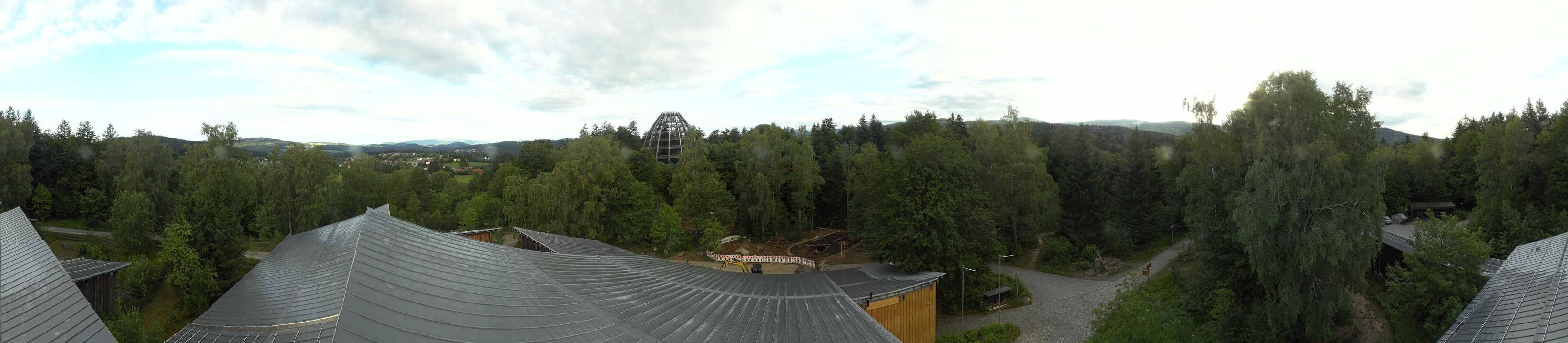Archiv Foto Webcam Neuschönau - Baumwipfelpfad Bayerischer Wald