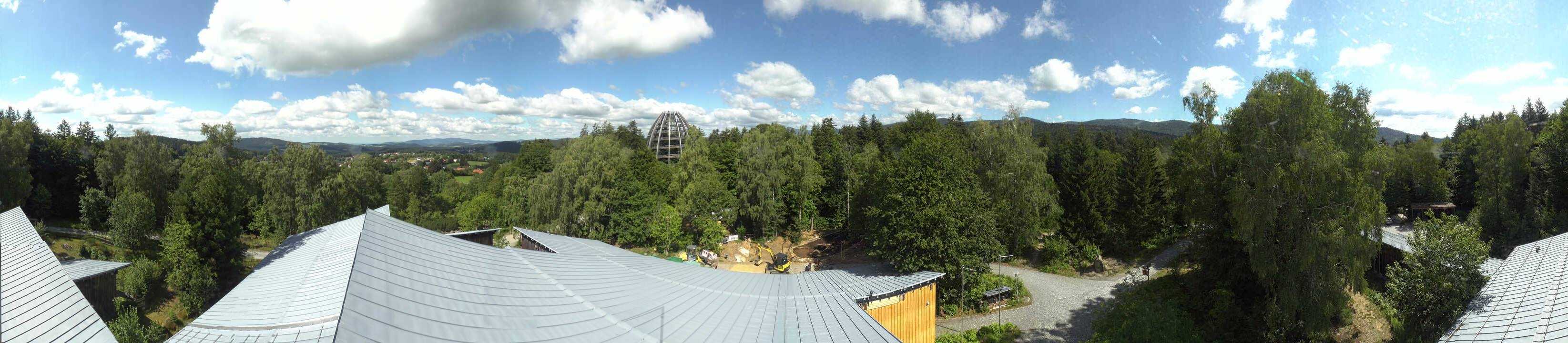 Archiv Foto Webcam Neuschönau - Baumwipfelpfad Bayerischer Wald