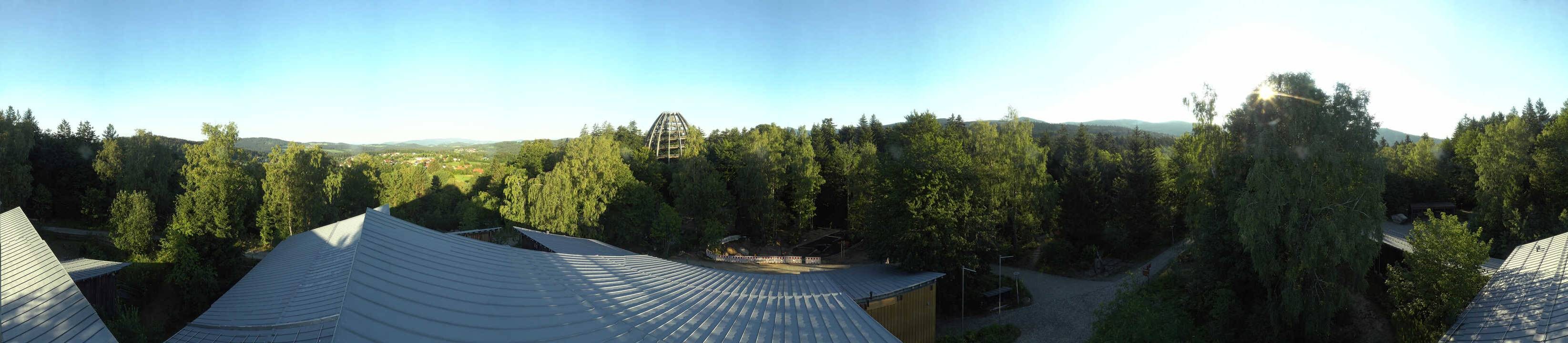 Archived image Webcam Neuschönau - Tree Top Walk Bavarian Forest