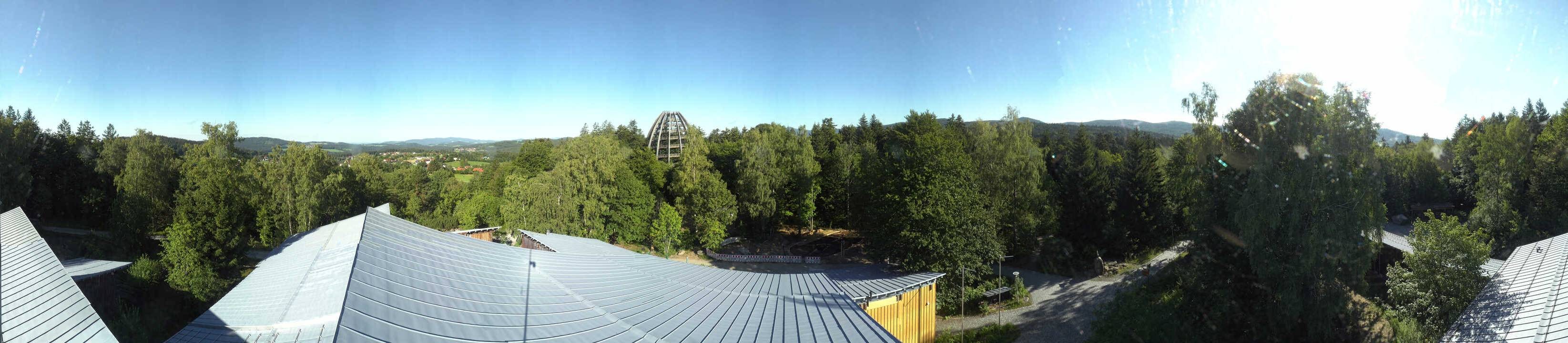 Archived image Webcam Neuschönau - Tree Top Walk Bavarian Forest