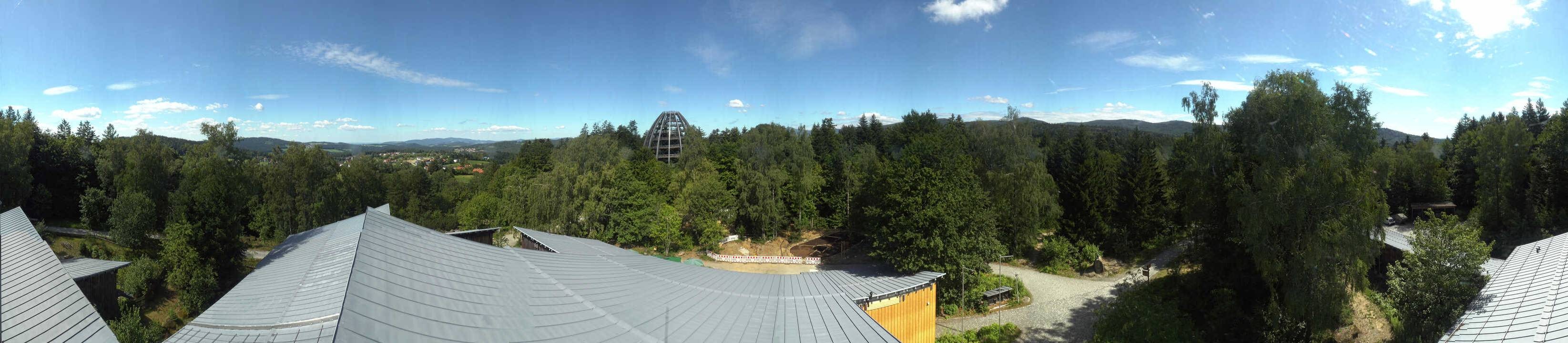 Archived image Webcam Neuschönau - Tree Top Walk Bavarian Forest