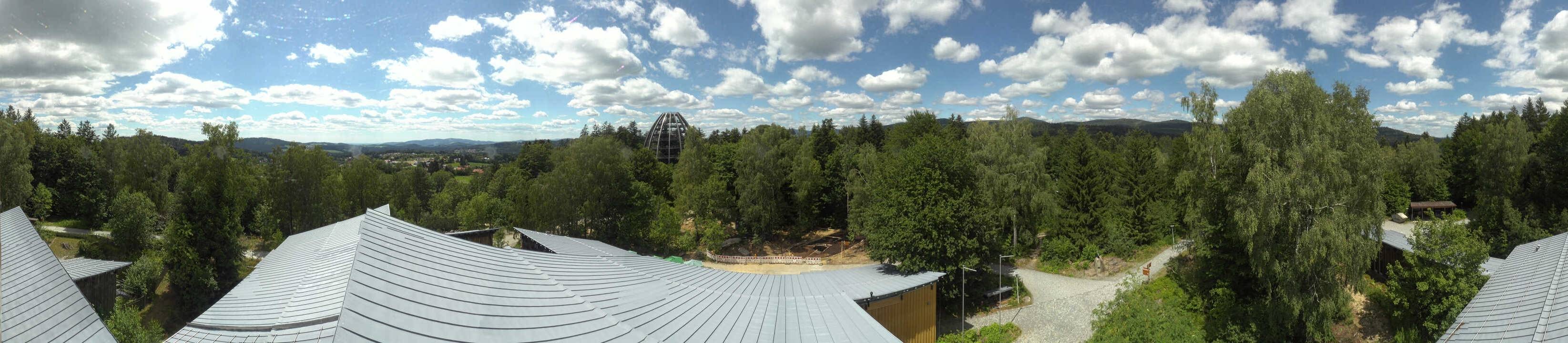 Archived image Webcam Neuschönau - Tree Top Walk Bavarian Forest