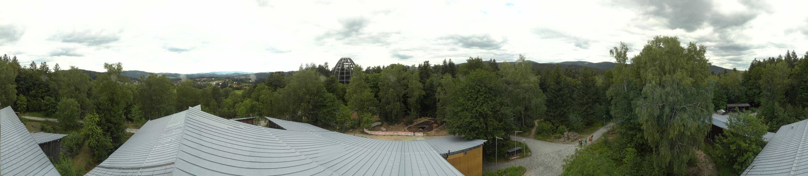 Archived image Webcam Neuschönau - Tree Top Walk Bavarian Forest